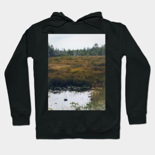 Tamarack Swamp Hoodie